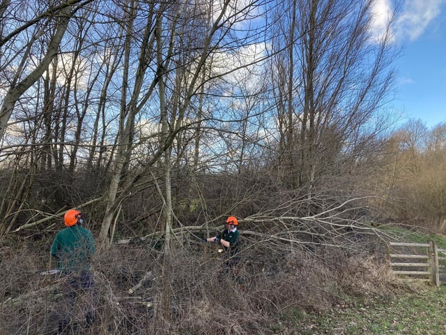 Warnham Local Nature Reserve took a battering. Photo: Horsham District Council