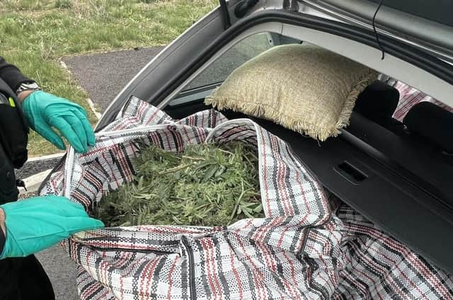 On Saturday Police stopped this car loaded with garden rubbish. Officers said; "When you decide to spend your Saturday gardening and put all your clippings in the car to take them to your mates house, but forget you don’t have a driving licence and then get stopped by the police. No wonder his mate didn’t want to hang around to speak to us."