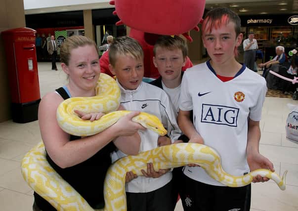 Kyle Hayes, Michael Hayes and Adam Falls with Lisa Fox of Sneaky Gers Reptiles and her snake during the exotic animals roadshow in the Tower Centre. BT31-210AC