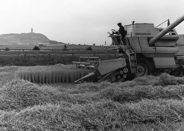Harvester in operation with Scrabo Hill in the distance in September 1980. Picture: Farming Life archives