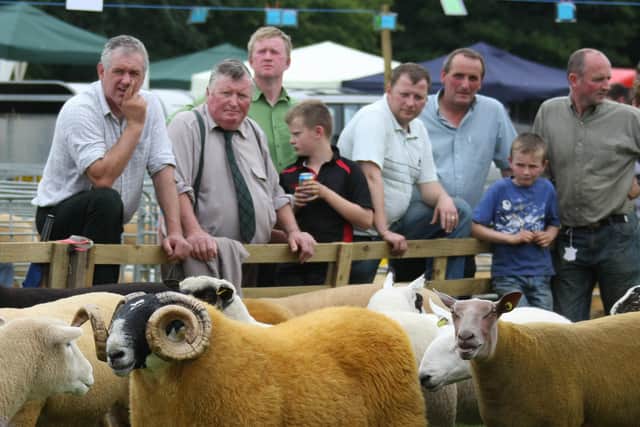 interbreed judging pictured at Antrim Show on Saturday.Picture Kevin McAuley Photography Multimedia