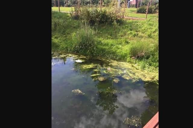 Complaint that pond at People's Park in Portadown is full of litter.