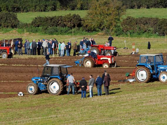 Ploughing underway at Stewartstown which hosted the Northern Ireland Ploughing Championships in October 2010