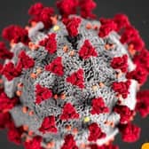 Coronavirus