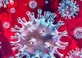 virus