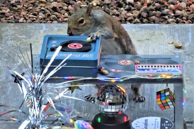The squirrels became very popular with Marion's family and friends on Facebook.