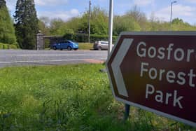 Gosford Forest Park. INPT19-261.