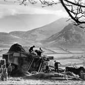 At James McEvoy's farm on the Hilltown Road in Newcastle, Co Down, 1968. Picture courtesy of Northern Ireland Historical Photographical Society Facebook page (https://www.facebook.com/Northern-Ireland-Historical-Photographical-Society-225424414683936)