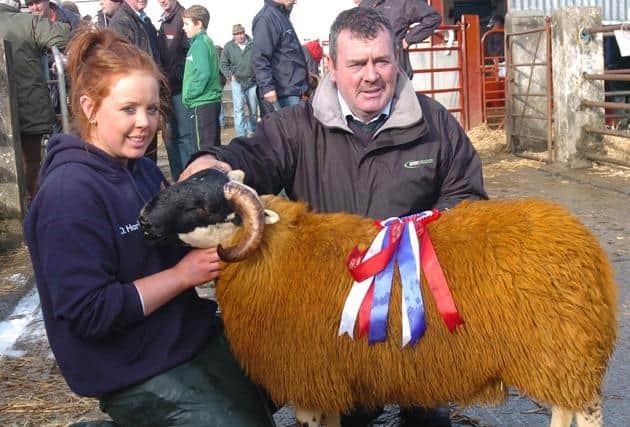 Pictured in November 2001, Charlie and Oonagh Harkin, Harkin Brothers, Donemana, with their champion ram lamb and supreme show champion at Plumbridge Ram Breeders Association annual Blackface show and sale