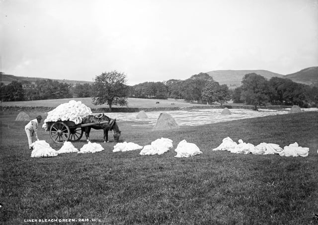 A Linen Bleach Green taken near Kilbroney, Rostrevor, Co. Down. Reference: L_ROY_02416. Picture courtesy of National Library of Ireland on The Commons's