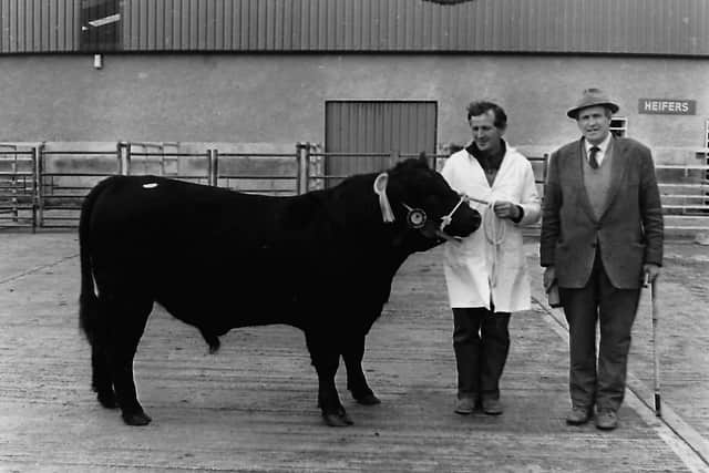 The reserve male champion at the first premier show and sale held by the Northern Ireland Aberdeen Angus Club in October 1987 which was held at Dungannon Farmers' Mart at Granville was Ernie of Ballykeel which was owned by T A McLaren, right, from Sixmilecross. Included in the picture is Fred Pauley. Pictures: Farming Life archives