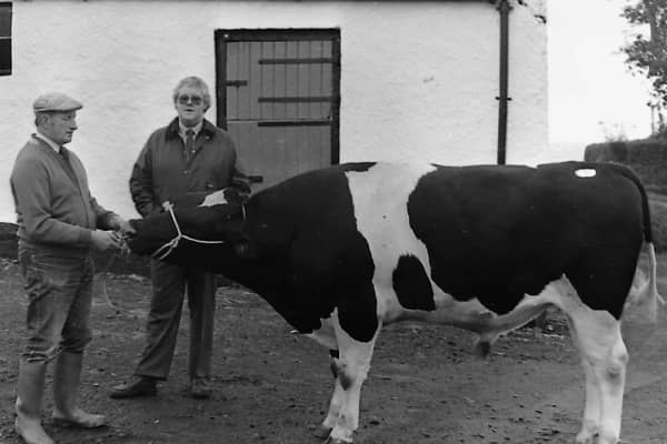 Top price bull – Robert Arthur and Son of Knowehead Road, Templepatrick, Co Antrim, paid a price of 2450 guineas at Balmoral for this bull at a sale held at Balmoral in October 1987. The March 1986 bull was offered by John Patterson and Son of Donaghadee, Co Down. Pictured with the bull is Edmund Arthur, left, and Spencer Gilliland of Dalgety Agriculture. The company made an award to the buyers and sellers of the top priced bulls at the sale. Picture: Farming Life archives