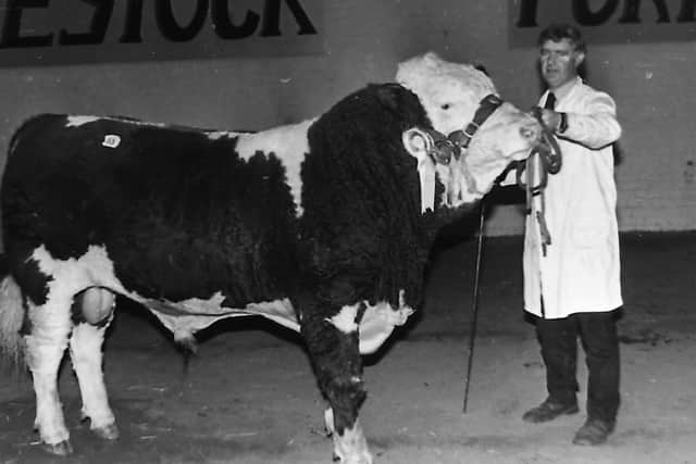 Andrew Patterson from Cookstown, Co Tyrone, with the reserve champion, Wilandale Supreme, at the Northern Ireland Simmental Cattle Club’s autumn show and sale at Automart, Portadown, Co Armagh in October 1987. Picture: Farming Life archives
