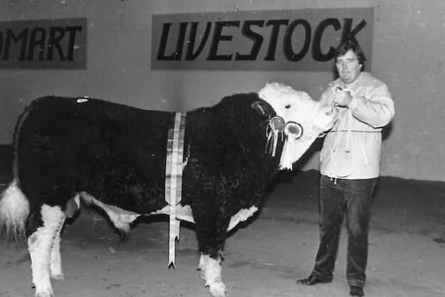 Pictured in October 1987 is Noel Kilpatrick from Banbridge, Co Down, with the supreme champion Ballymoney Sam, at the Northern Ireland Simmental Cattle Club’s autumn show and sale at Automart, Portadown, Co Armagh. Picture: Farming Life archives