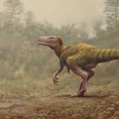 Two-legged meat-eater Sarcosaurus.