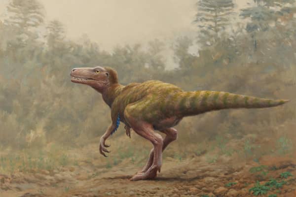 Two-legged meat-eater Sarcosaurus.
