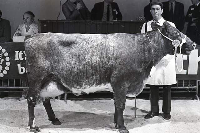 Samuel Kelly of Castlecaulfield, with the Dairy Shorthorn champion. The breed was shown for the first time at at the Royal Ulster Agricultural Winter Fair in December 1987. Picture: Farming Life archives