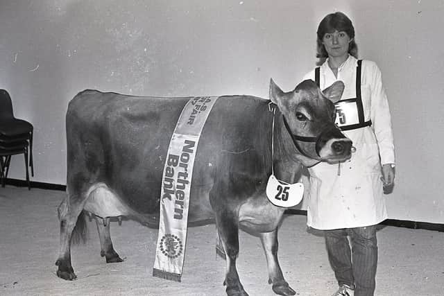 Margaret Martin of Moira, exhibitor of the Jersey champion at the Royal Ulster Agricultural Winter Fair in December 1987. Picture: Farming Life archives