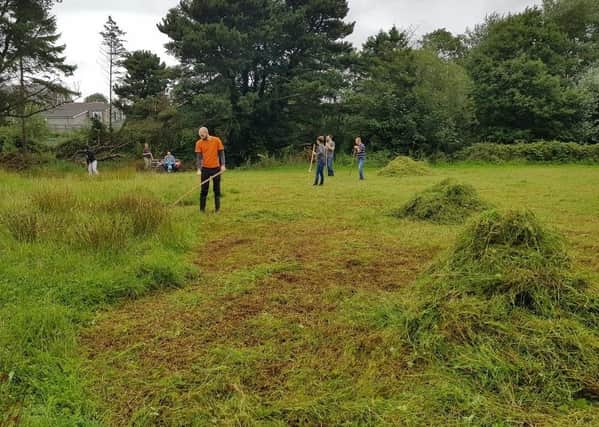 Meadow management in action at Riverside Park in Ballymoney during a scything event held in April 2019
