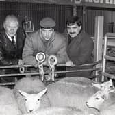 Alan Leckey from Castlederg, exhibitor of the supreme pen at the show and sale of prime lambs at Allam's Mart in Belfast in December 1988. Included are auctioneer George Clegg, left, and David Workman, agricultural, Northern Bank. Picture: Eddie Harvey/Farming Life archives