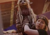 Puppeteer Beccy in action