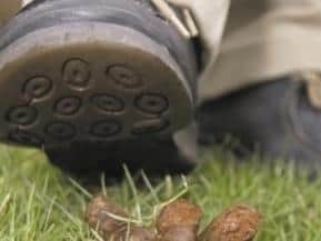 Dog fouling has increased in Mid Ulster district.