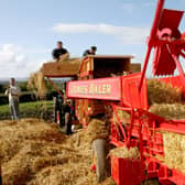 An old threshing machine being used to recreate bygone days when beating out the grain from the husks of corn was a widespread practice in farming circles. Picture: Ballymoney Times archives