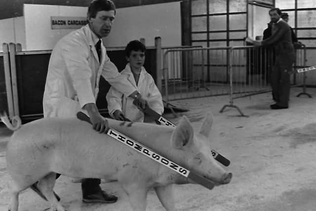 Roy Moses and his son Andrew with the Large White supreme champion at the Royal Agricultural cattle and pig events at Balmoral in October 1987.