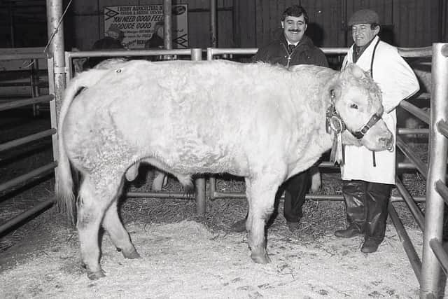 Michael McGlade with Woodside Goodman, a January 1989 bull which was supreme champion  at the Northern Ireland Belgian Blue Club's show and sale at the Automart, Portadown, in December 1990. The bull was exhibited by Woodside Pedigree Stockbreeders of Newtownards. Included is David Workman of the Northern Bank, sponsors of the event. Picture: Randall Mulligan/Farming Life archives