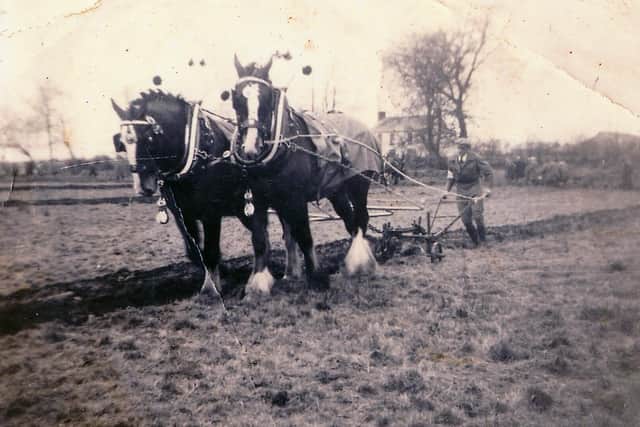 Pictured is Mr Samuel Archer McBride from Tanvally. He is ploughing for Annaclone Ploughing Society at the farm of Joe Russell, Cascum which now forms part of the Boulevard shopping centre. At this match, in the late 1940s, Samuel won the style and appearance class. This old photo was provided by James McBride (son of Samuel). Mr McBride Senior is also the grandfather of Farming Life editor Ruth Rodgers. Picture courtesy of the McBride family. Do you have old farming related photographs that you would like to share with Farming Life readers? Email them to darryl.armitage@jpimedia.co.uk