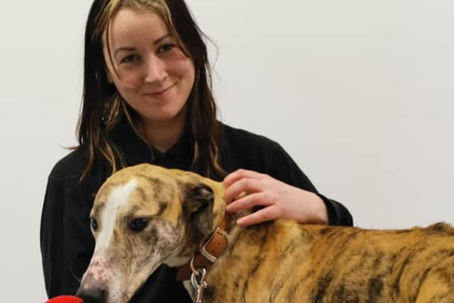 Tweed - The loveable brindle soul, aged five, was recently brought into the care of the rehoming centre, after being found straying before being taken to a local pound.