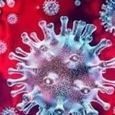 virus