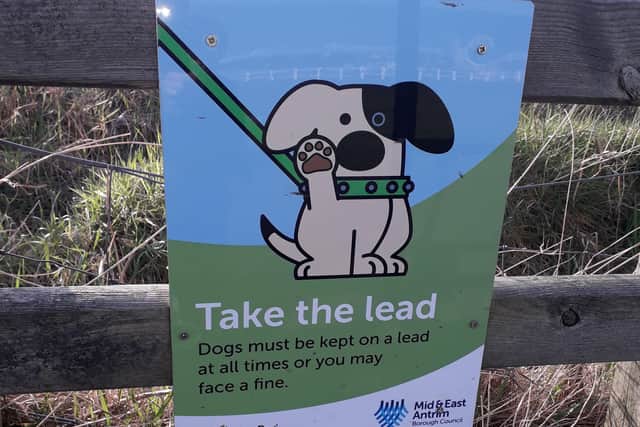 Council to clamp down on dog fouling.