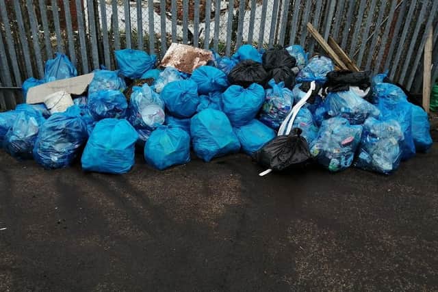 Just some of the litter collected by the group.