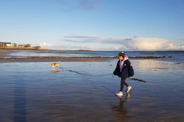 Shane's daughter Olivia taking the dog for a walk at Greenisland beach