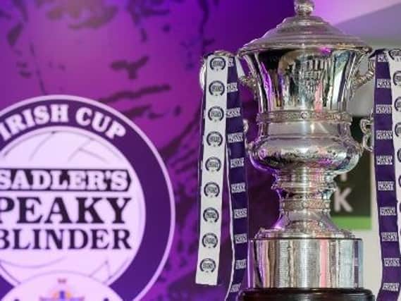 Institute have joined Queen's and Newry City in deciding to withdrawal from this season's Sadler;s Peaky Blinder Irish Cup.