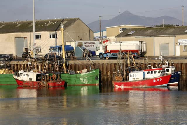 Kilkeel Harbour. Picture: Gavan Caldwell/News Letter archives