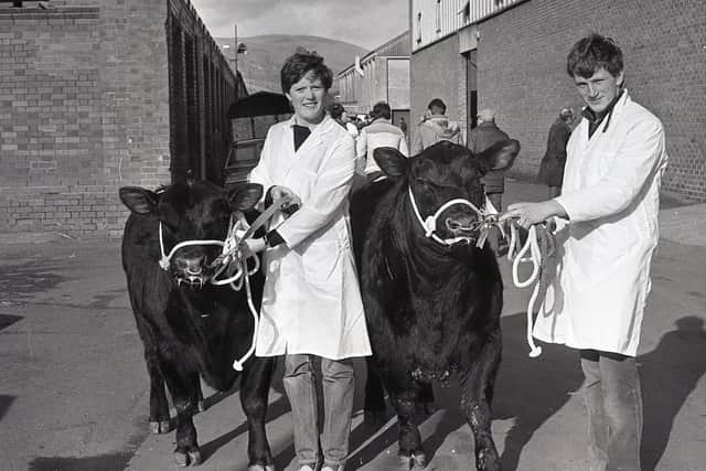 Carolyn Lamb from Richhill, Co Armagh, and her brother Mark, with their Aberdeen Angus supreme bull and reserve. Picture: Randall Mulligan/Farming Life archives