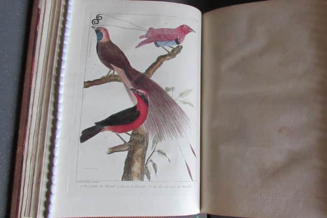 Heather Hamilton explained: “My favourite book in the collection is L’Histoire Naturelle L’Ornithologie des Oiseaux. This is a beautifully illustrated book with hand painted birds. The book was published in Paris in 1767 and even over 250 years later, the colours are still brilliant.” Picture: National Trust Images