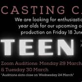 Casting call for upcoming online production