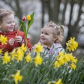 Finn Hamilton and Molly-Rose Cassidy help to celebrate the season of spring ahead of this year’s virtual Ballymoney Spring Fair which features a series of short videos showcasing the town and its surrounding areas. Please note, this photograph was taken prior to current public health restrictions
