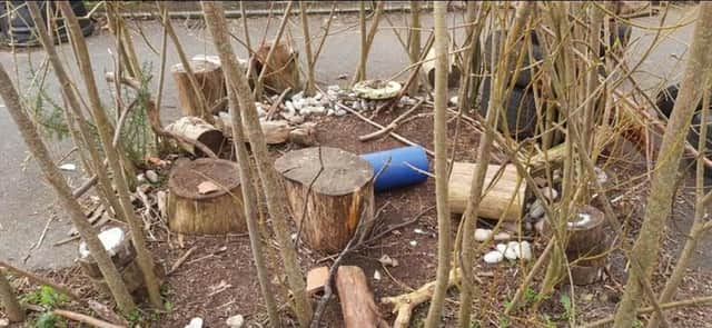 Damage has been caused to the sensory garden at Pond Park Primary School