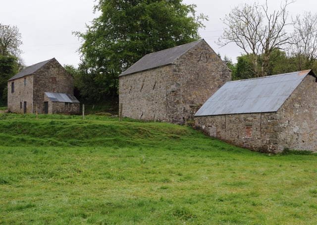 The old Flax Mill, Killeeshil, Co Tyrone. Picture from May 2010