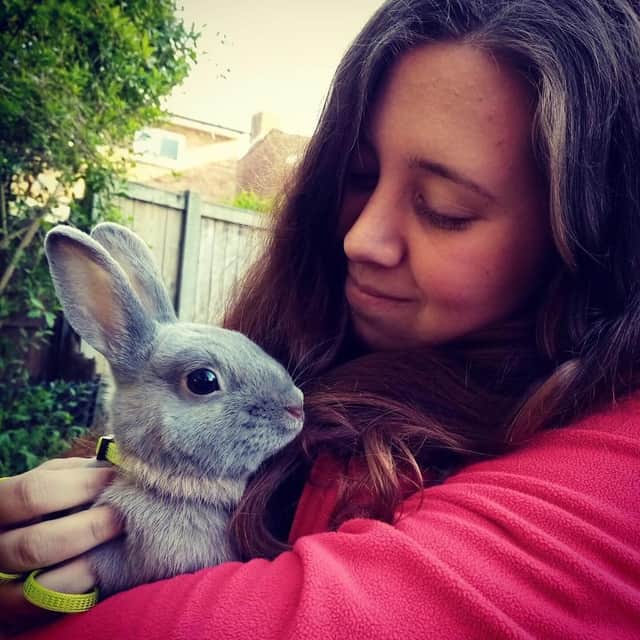 NI pet stores ban sales of rabbits over Easter