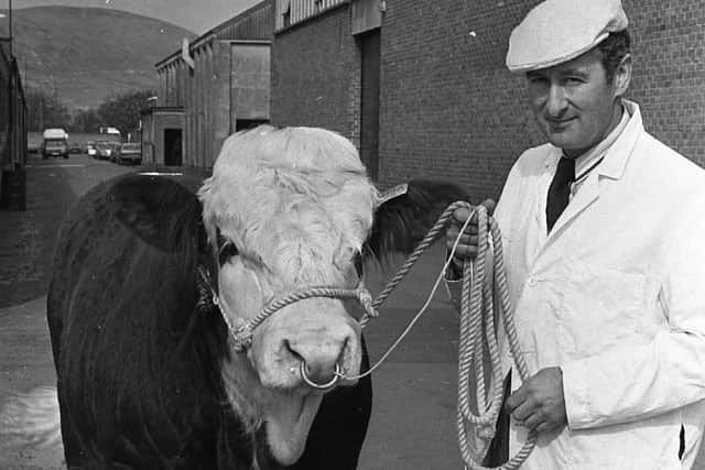 James Brown, Elaghmore, Co Londonderry, with his first prize Simmental bull, which made the top price of 1,600 guineas at the breed show and sale at Balmoral in March 1982, Picture: Farming Life archives