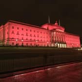 The Assembly Commission refused to light up Parliament Buildings for the event this year because they said it was being held on the wrong date. 
Photo David McCormick/Pacemaker Press