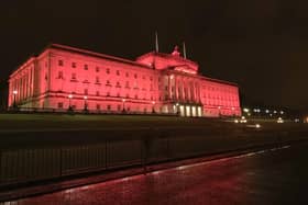 The Assembly Commission refused to light up Parliament Buildings for the event this year because they said it was being held on the wrong date. 
Photo David McCormick/Pacemaker Press