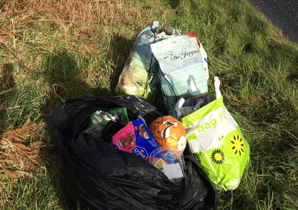 Some of the litter collected in the Coast Road area.