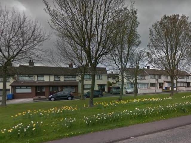 Antiville in Larne.