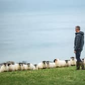 Eamonn Mathews of Glenarm Redspark Lamb tending to his flock of pedigree sheep